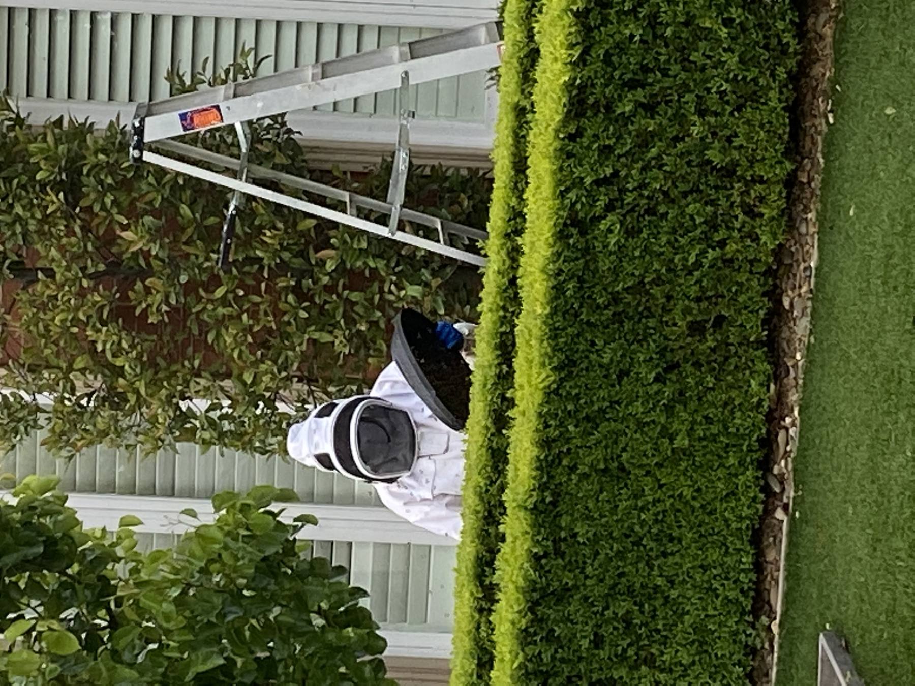 Two white plastic hive boxes side by side in a shed