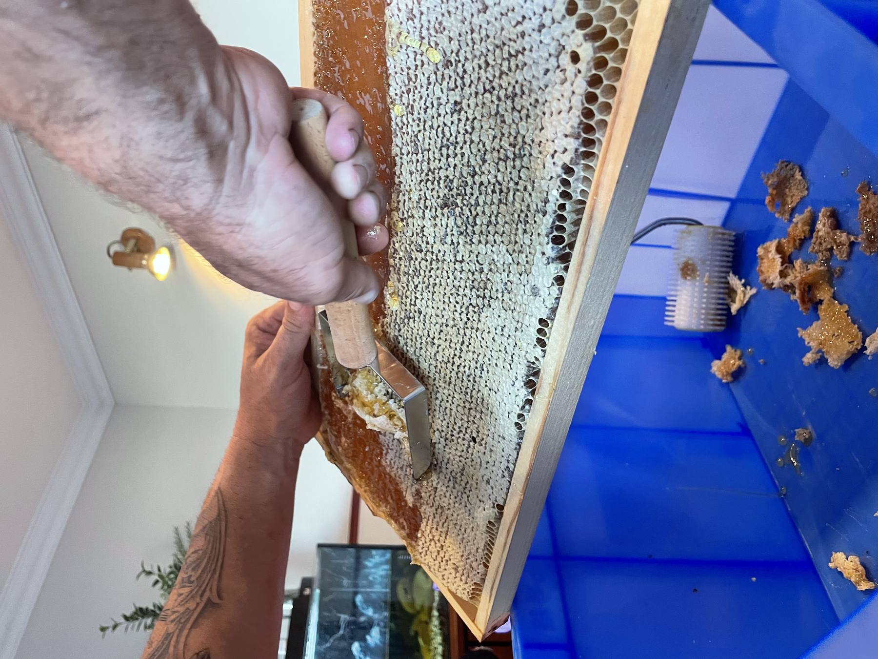 Beekeeper on a ladder removing bees from a roof eave